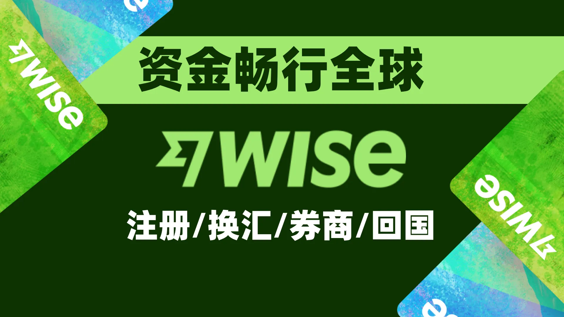Wise详细使用指南